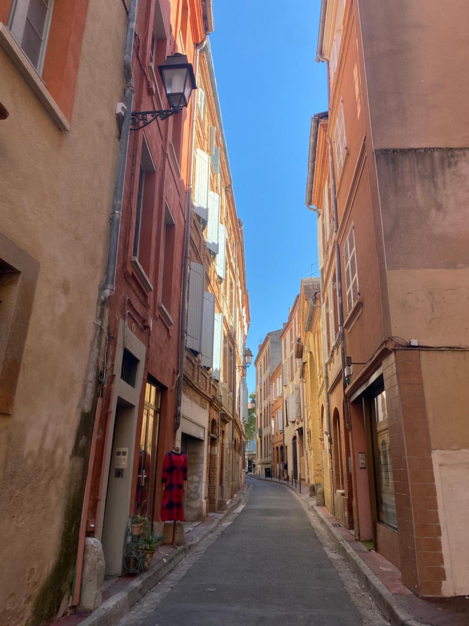 Duplex Aux Carmes Lejlighed Toulouse Eksteriør billede