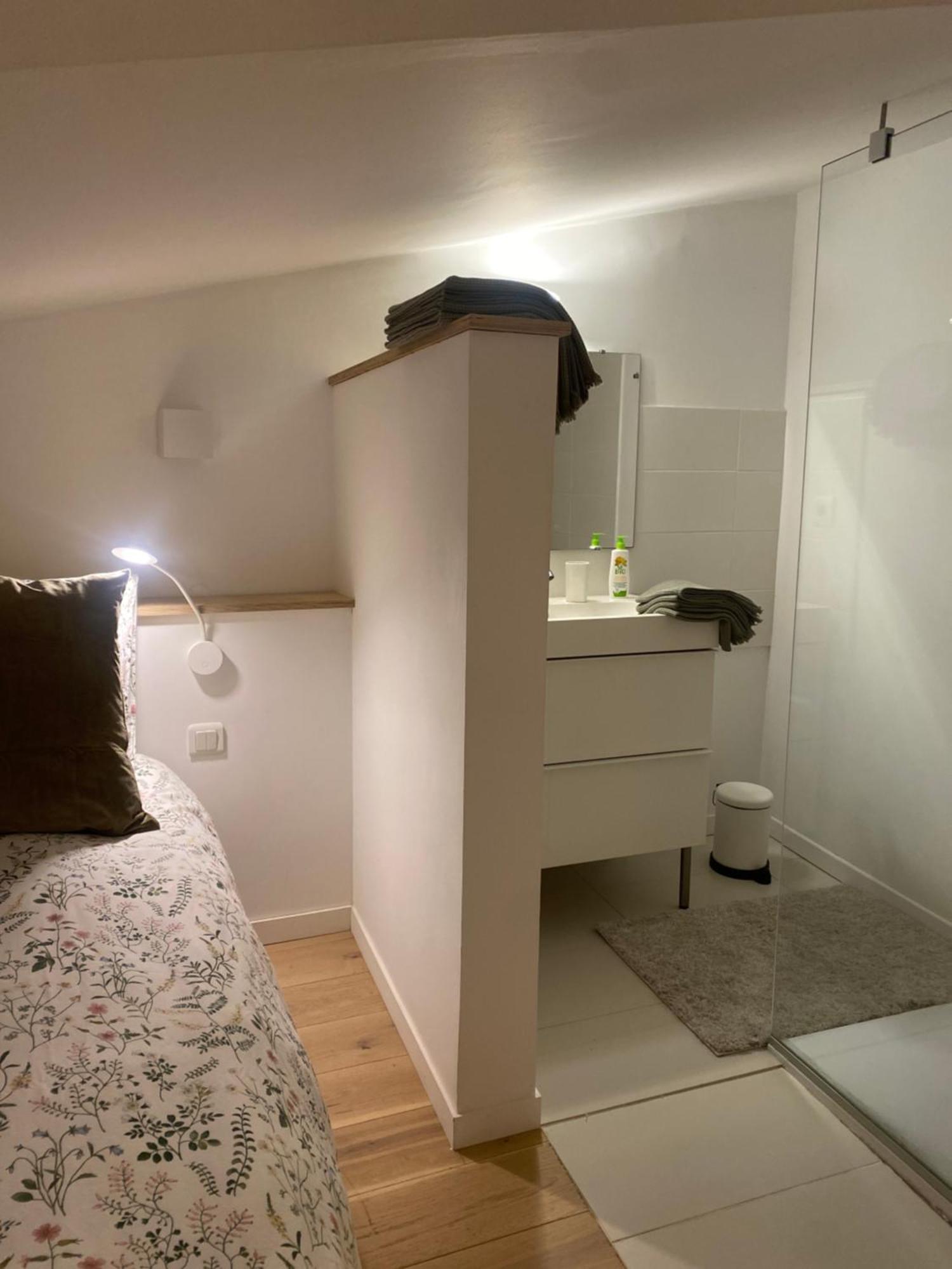 Duplex Aux Carmes Lejlighed Toulouse Eksteriør billede